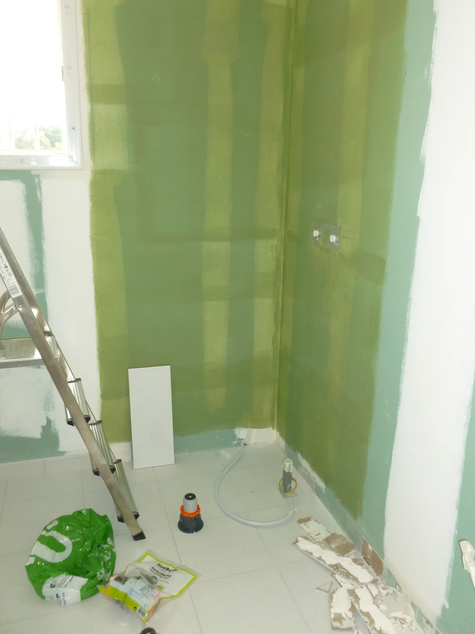 Avant Faïence salle de bain